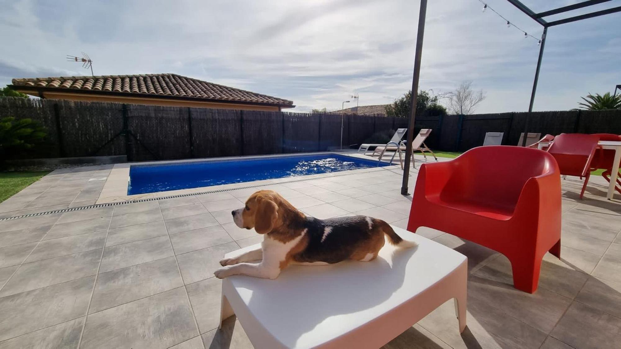 Villa Medes Mar - Costa Brava L'Estartit